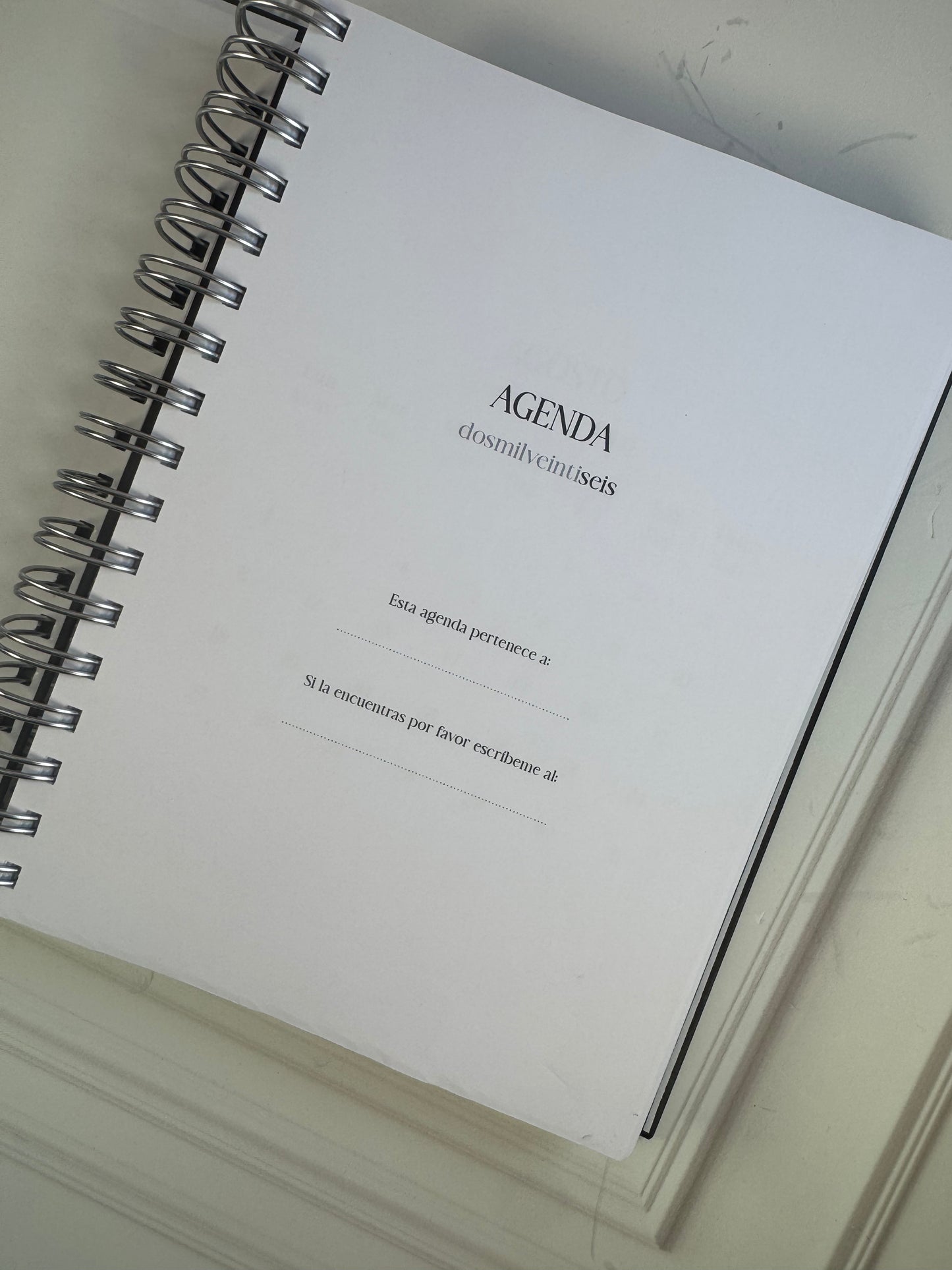 Agenda diaria diseño especial