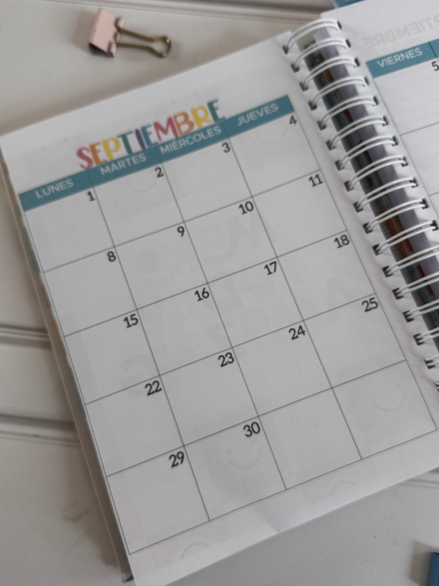 Agenda Directiva modelo #019