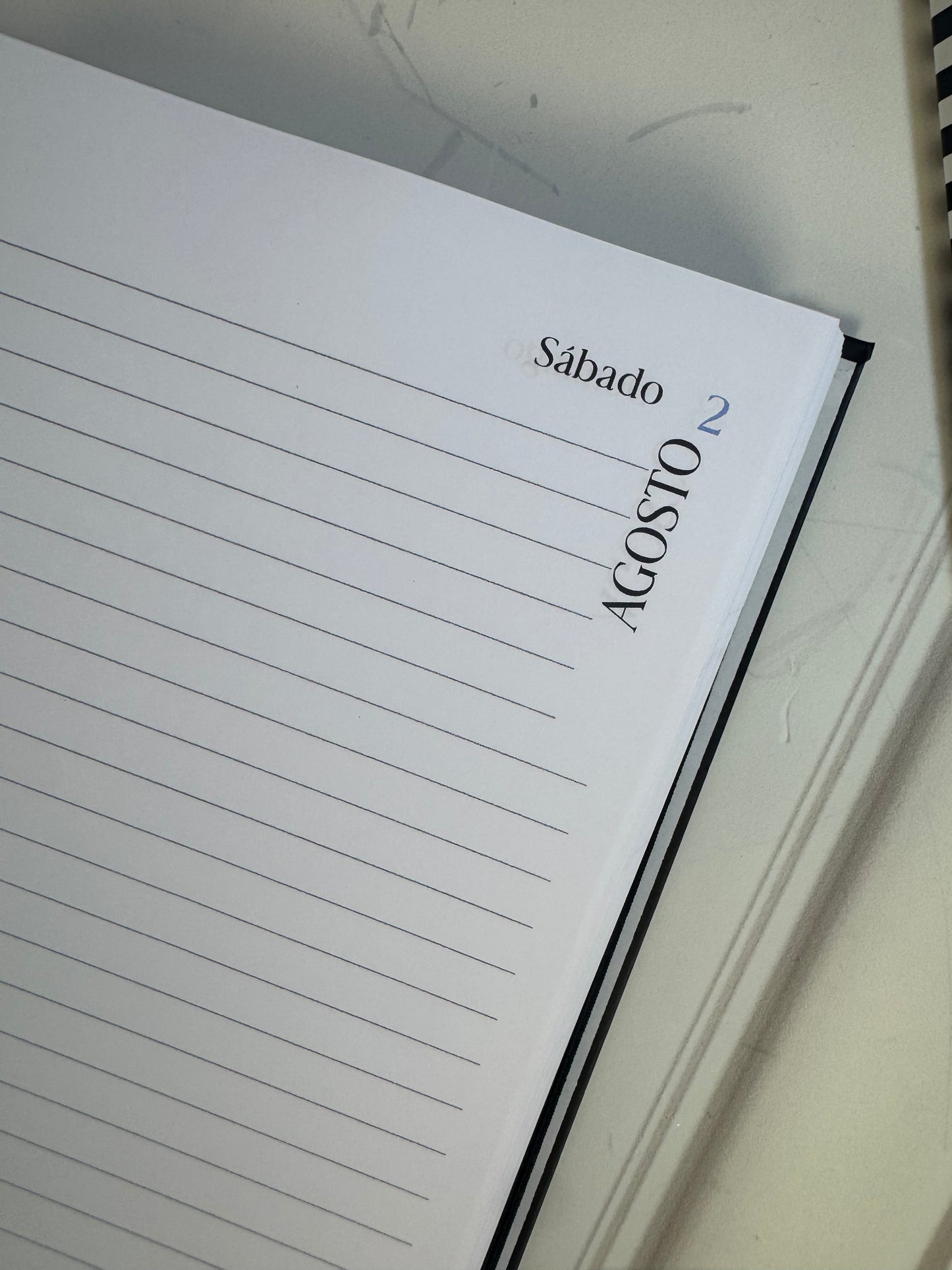 Agenda  diaria  diseño especial